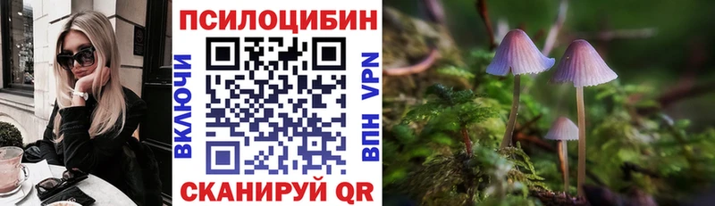 Галлюциногенные грибы Psilocybe  продажа наркотиков  Дно 